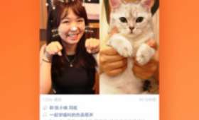 粉丝创业赚钱，从热爱到成功的蜕变